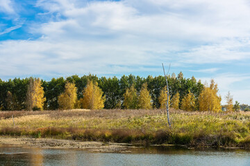 A beautiful, serene landscape with a lake and a forest.