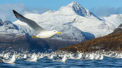 Seagulls flying over the ocean