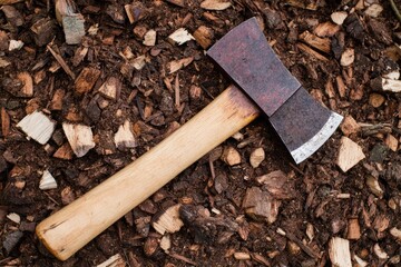 A Rusted Axe with a Wooden Handle Resting on Wood Chips