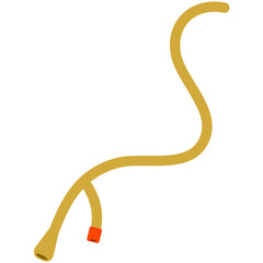 Urinary Catheter Illustration