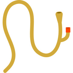 Urinary Catheter Illustration
