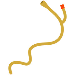 Urinary Catheter Illustration