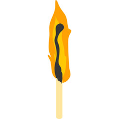 Burned Flame Matchstick