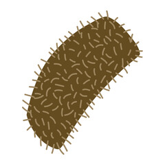 Cartoon Fur Cushion Vector
