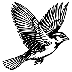 Fototapeta premium Silhouette of a sparrow