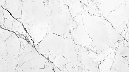 Obraz premium White Marble Slab with Black Veins