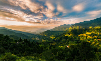 Obraz premium Nature beauty of terraced field in northern Viet Nam