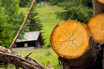 House made of wood. Selective focus photo in the mountains. Focus changes from the cut wood to the house made of trees.