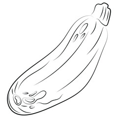 Zucchini logo icon drawn with various lines, vector