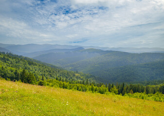Naklejka premium carpathian mountain valley after the rain.