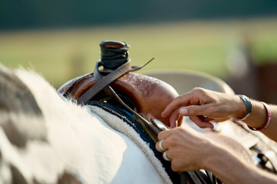 Close-up of a person adjusting a saddle on a horse, highlighting the intricate leatherwork and rider's hands.