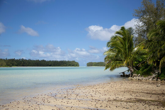 Serene tropical beach with clear blue waters, palm trees, and sandy shore under a partly cloudy sky, Muri, Rarotonga, Cook Islands