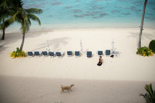 Aerial view of a sandy beach with a person and a stray dog near sun loungers and palm trees by clear turquoise waters, Titikaveka, Rarotonga, Cook Islands