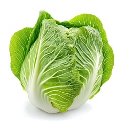 Fototapeta premium A whole green cabbage with white veins on its leaves, isolated on a white background.