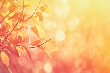 Fototapeta premium Soft, warm sunlight filters through yellow leaves of a tree, creating a dreamy, golden glow.