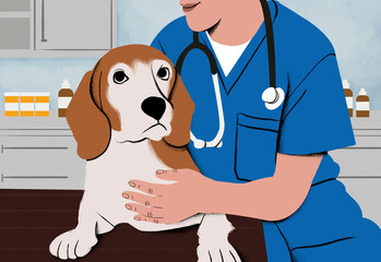 A professional veterinarian in blue scrubs gently examines a brown and white dog in a clinic setting.
