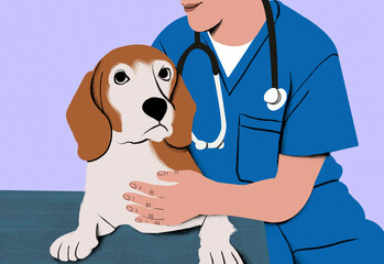 A veterinarian in blue scrubs gently examines a brown and white beagle on an examination table.