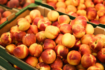 Nectarines in a cardboard box at the grocery store background. Vibrant color fruits. Supermarket food presentation. Fruit section of a store. Nectarine texture. Pile of fruits. Stacked nectarines.