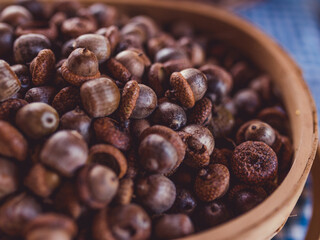 Bowl of Brown Acorns