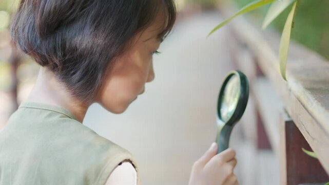 Close up face of adorable Asian girl is focused on inspecting nature with magnifying glass showing curiosity and careful observation and exploring outdoor surrounding in summer vacation with sunlight.