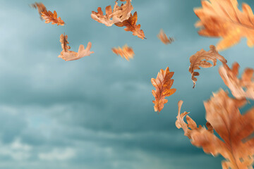 Dry autumn leaves falling against sky with clouds