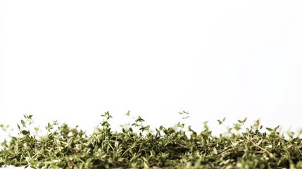 Close-up of a dry herb heap with a white background. Perfect for culinary, health, and organic-themed projects.