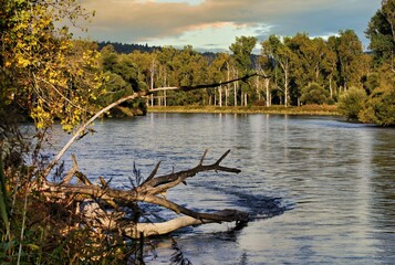 Sunset at the Isarauen a tributary of the Danube near Deggendorf, Germany