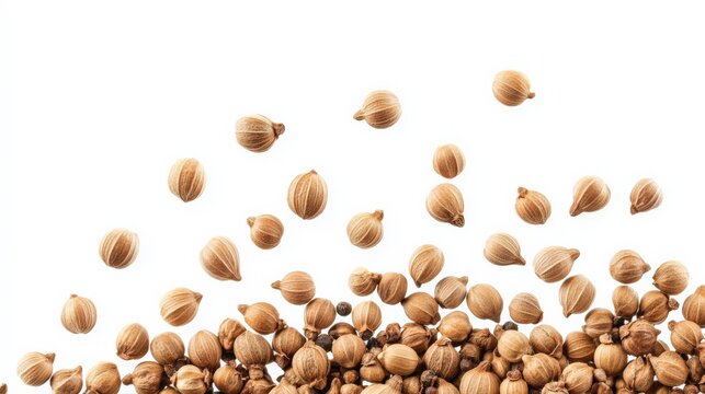 Close-up of coriander seeds isolated on white background, perfect for recipes, food blogs, and culinary presentations.