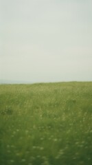 Fototapeta premium Grassland landscape outdoors horizon.
