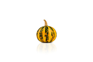 Pumpkin isolated on white background.