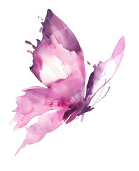 Watercolor beautiful butterfly vector illustration on white background