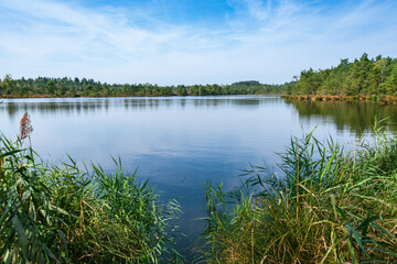 The Bog Lake In The Schoenramer Filz
