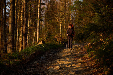 Fully equipped hiker enjoying sunrise early in the morning in the mountains. Hiker man with backpack hiking in spring forest. Hiking concept. A young traveler with a backpack walk through the woods.
