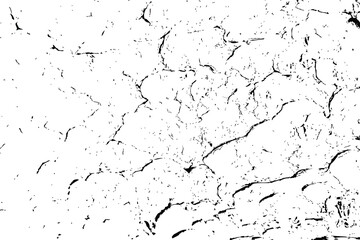 Fototapeta premium Trace of tree wood texture bark. Black white wooden background surface with natural pattern. Vector plank wood texture.