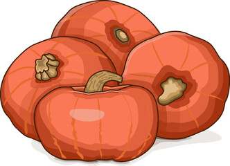 Group of Sunshine kabocha squash. Winter squash. Cucurbita maxima. Vegetables. Clip art. Isolated vector illustration.