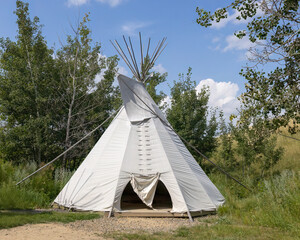 Tipi tent in the trees