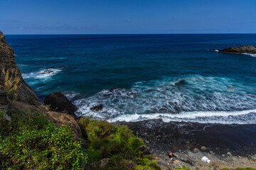 Obraz premium Playa de Castro, tall palm trees, banana trees, black volcanic sand, landscape of the coast of Tenerife,