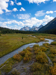 Obraz premium Scenic View of Serene Landscape in the Canadian Rockies with Majestic Mountains and Flowing River
