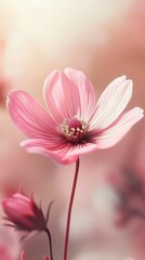 Fototapeta premium Close-up of a pink flower with