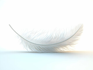 Obraz premium Soft Focus White Feather Close-Up: Delicate Soft Blurred Edges Illustrating Lightness of Being for Janeiro Branco - Vector Illustration