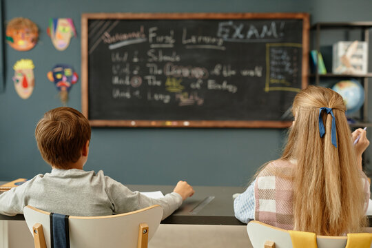 Rear view of young boy and girl sitting at desk facing blackboard while writing in exercise books completing test in classroom with blue painted walls, copy space - Powered by Adobe