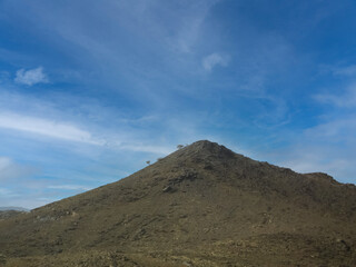 mountain and tiny trees
