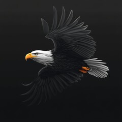 Fototapeta premium Majestic Bald Eagle In Flight With Spread Wings Against Black Background