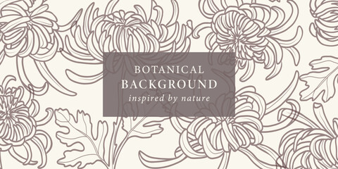 Line art chrysanthemum flowers background