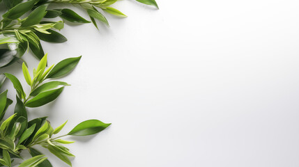 Fototapeta premium Fresh green leaves frame on white background, natural border, foliage decoration concept