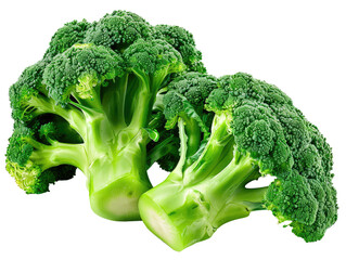 broccoli isolated on white background