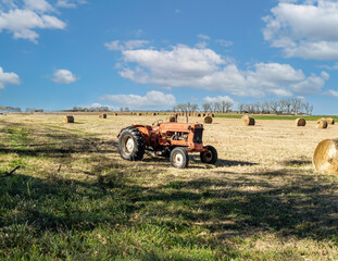 Obraz premium old tractor in the field