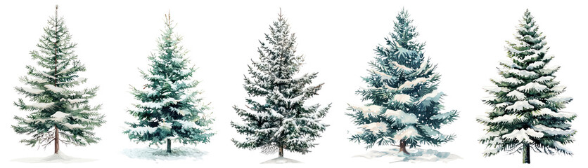 Fototapeta premium Watercolor Christmas tree png cut out element set
