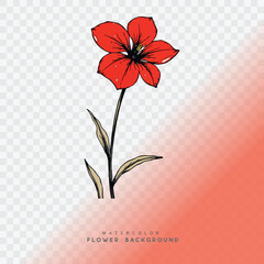 Flowers on a transparent background