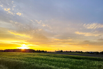 Golden sunset over lush green fields, creating a serene rural landscape